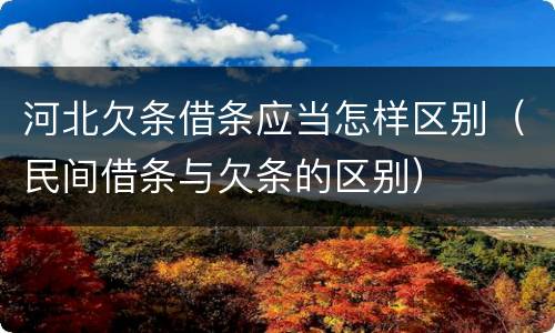 河北欠条借条应当怎样区别（民间借条与欠条的区别）