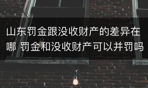 山东罚金跟没收财产的差异在哪 罚金和没收财产可以并罚吗