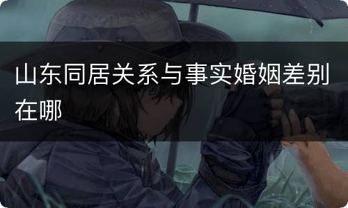 山东同居关系与事实婚姻差别在哪