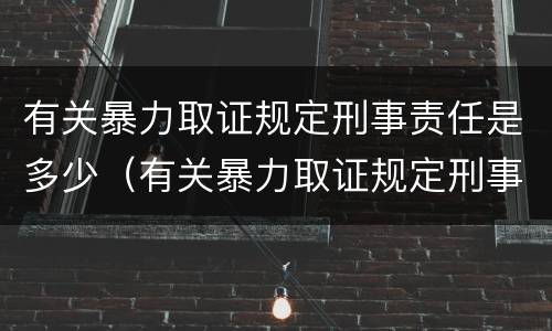 有关暴力取证规定刑事责任是多少（有关暴力取证规定刑事责任是多少年）