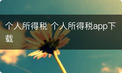 个人所得税 个人所得税app下载