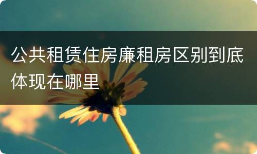 公共租赁住房廉租房区别到底体现在哪里