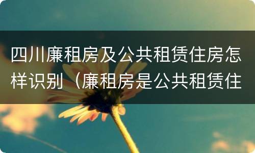 四川廉租房及公共租赁住房怎样识别（廉租房是公共租赁住房吗）