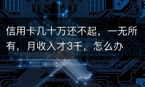 信用卡几十万还不起，一无所有，月收入才3千，怎么办