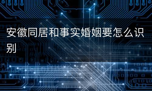 安徽同居和事实婚姻要怎么识别