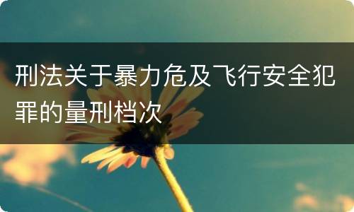 刑法关于暴力危及飞行安全犯罪的量刑档次