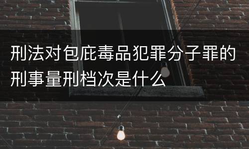 刑法对包庇毒品犯罪分子罪的刑事量刑档次是什么