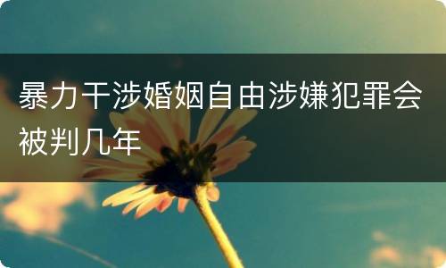 暴力干涉婚姻自由涉嫌犯罪会被判几年