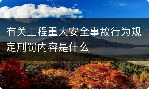 有关工程重大安全事故行为规定刑罚内容是什么