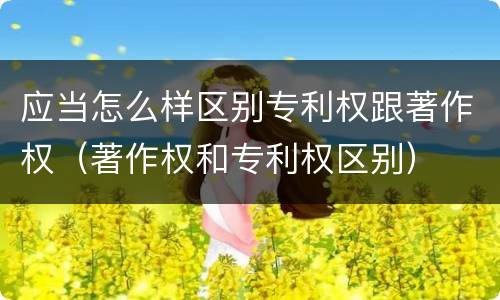 应当怎么样区别专利权跟著作权（著作权和专利权区别）