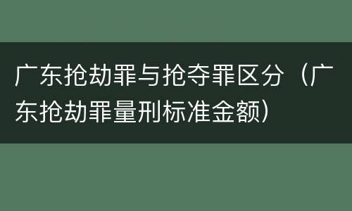 广东抢劫罪与抢夺罪区分（广东抢劫罪量刑标准金额）