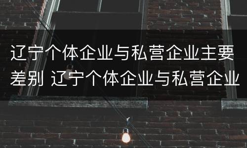 辽宁个体企业与私营企业主要差别 辽宁个体企业与私营企业主要差别是什么