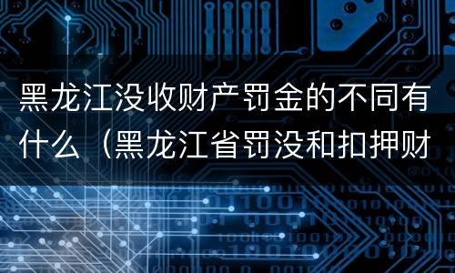 黑龙江没收财产罚金的不同有什么（黑龙江省罚没和扣押财物管理条例）