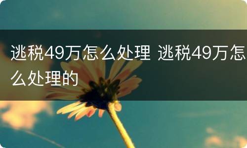 逃税49万怎么处理 逃税49万怎么处理的