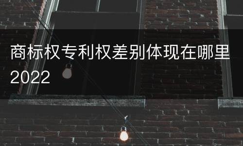商标权专利权差别体现在哪里2022