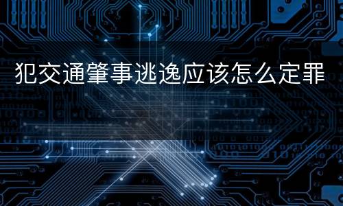 犯交通肇事逃逸应该怎么定罪