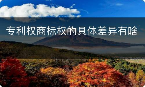 专利权商标权的具体差异有啥