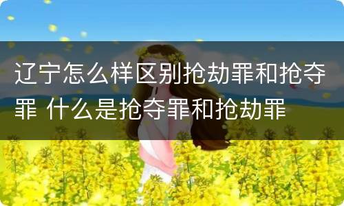 辽宁怎么样区别抢劫罪和抢夺罪 什么是抢夺罪和抢劫罪