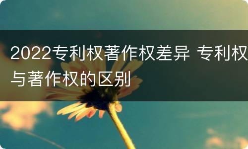 2022专利权著作权差异 专利权与著作权的区别