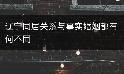 辽宁同居关系与事实婚姻都有何不同