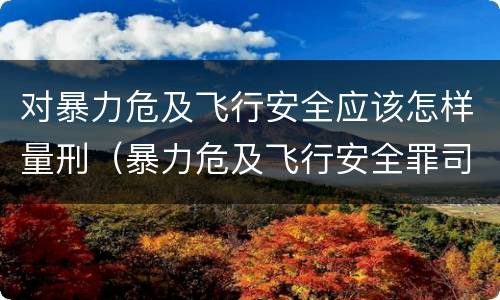 对暴力危及飞行安全应该怎样量刑（暴力危及飞行安全罪司法解释）