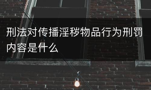 刑法对传播淫秽物品行为刑罚内容是什么