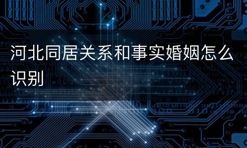 河北同居关系和事实婚姻怎么识别