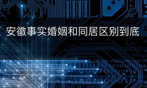 安徽事实婚姻和同居区别到底