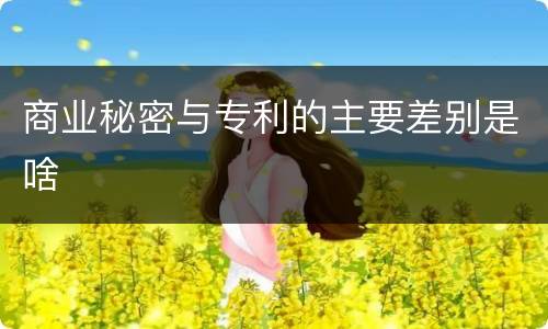 商业秘密与专利的主要差别是啥