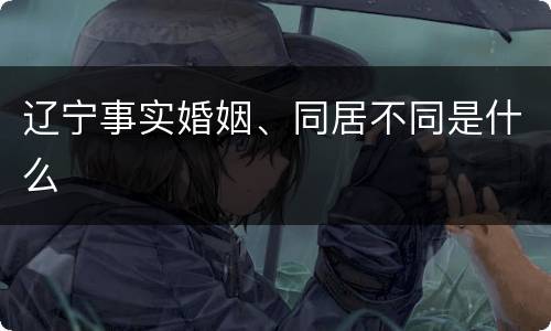 辽宁事实婚姻、同居不同是什么
