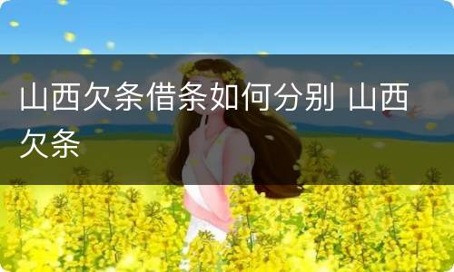 山西欠条借条如何分别 山西 欠条