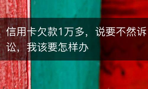 信用卡欠款1万多，说要不然诉讼，我该要怎样办