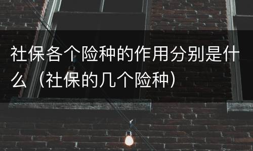 社保各个险种的作用分别是什么（社保的几个险种）