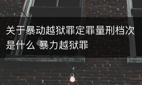 关于暴动越狱罪定罪量刑档次是什么 暴力越狱罪