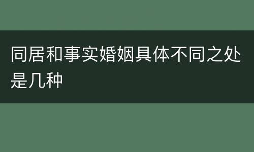 同居和事实婚姻具体不同之处是几种