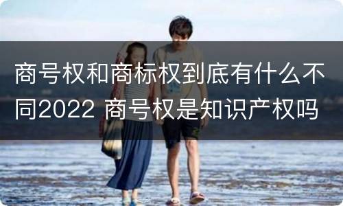 商号权和商标权到底有什么不同2022 商号权是知识产权吗