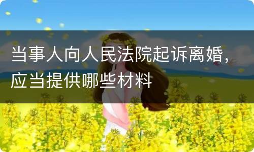 当事人向人民法院起诉离婚，应当提供哪些材料