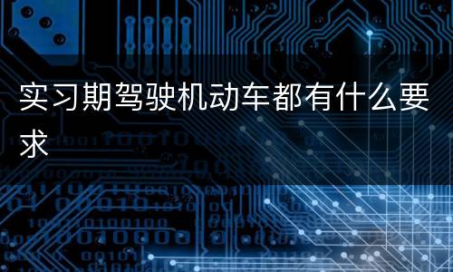 实习期驾驶机动车都有什么要求