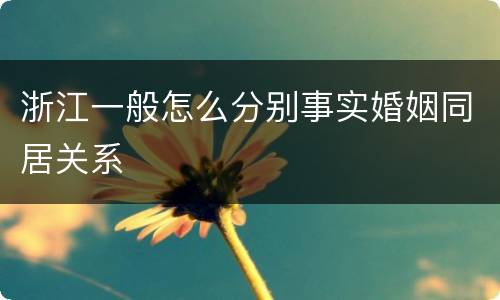 浙江一般怎么分别事实婚姻同居关系