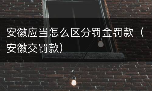 安徽应当怎么区分罚金罚款（安徽交罚款）