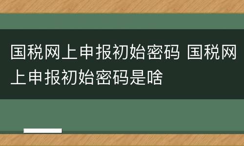 国税网上申报初始密码 国税网上申报初始密码是啥