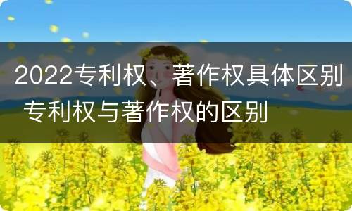 2022专利权、著作权具体区别 专利权与著作权的区别