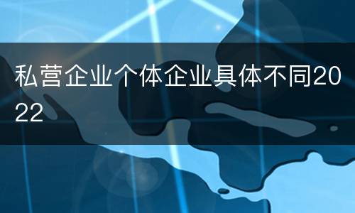 私营企业个体企业具体不同2022