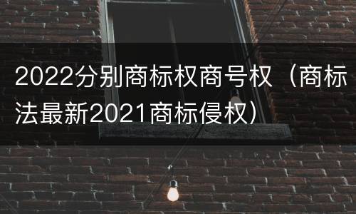 2022分别商标权商号权（商标法最新2021商标侵权）