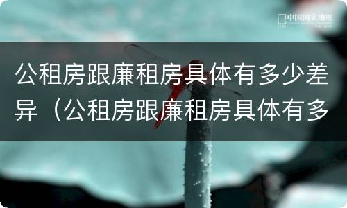 公租房跟廉租房具体有多少差异（公租房跟廉租房具体有多少差异呢）