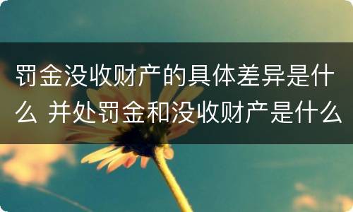 罚金没收财产的具体差异是什么 并处罚金和没收财产是什么意思