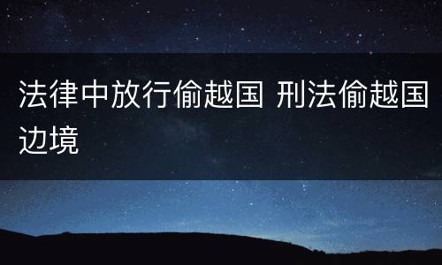 法律中放行偷越国 刑法偷越国边境