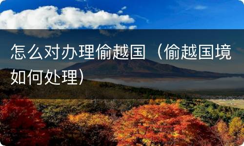 怎么对办理偷越国（偷越国境如何处理）