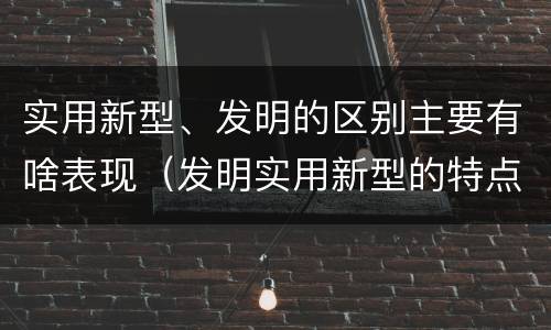 实用新型、发明的区别主要有啥表现（发明实用新型的特点）
