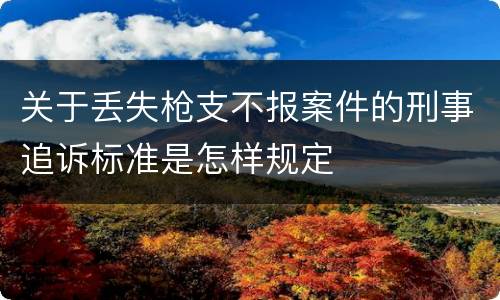 关于丢失枪支不报案件的刑事追诉标准是怎样规定